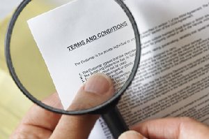 Stylish Organics Terms and Conditions for Use of Site
