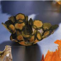Organic Parchment Bowl Zucchini
