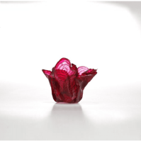 Organic Parchment Bowl Beet
