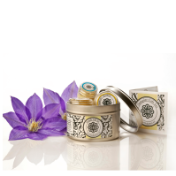 Organic Skin Care Travel Gift Set