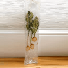 Organic Vegetable and Recycled Glass Tray Daikon Gold Beer