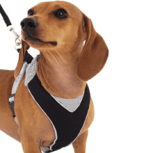 Ecofriendy V-Shape Mesh Dog Harness (Natural Pets WPSize: --, Eco-friendly WPColor: --)