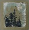 Mens Organic Cotton Tee Compass Forest SS