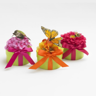 Natural Garden Habitat Sets (Natural Gardens: --)