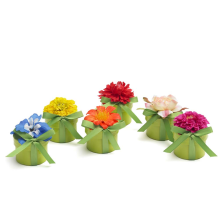 Natural Garden Minis Standard Sets (Natural Gardens: --)