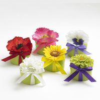 Natural Garden Originals Sets (Natural Gardens: --)