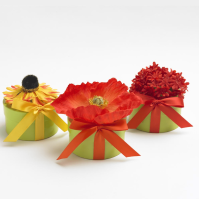 Natural Garden Perennials Sets (Natural Gardens: --)