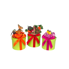 Natural Garden Seed Mat Assortment (Natural Gardens: --)