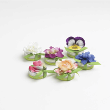Natural Garden Tiny Tin Classics Sets (Natural Gardens: --)