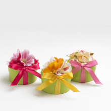 Natural Garden Specialty Sets (Natural Gardens: --)