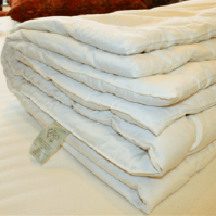 Organic Cotton Duvet (Organic Linens Sizes: --)