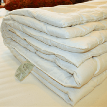 Organic Cotton Duvet (Organic Linens Sizes: --)