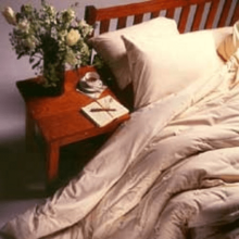Organic Wool Duvet (Organic Linens Sizes: --)