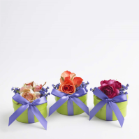 Rose & Lavender Organic Sachet Sets (Natural Sachets: --)